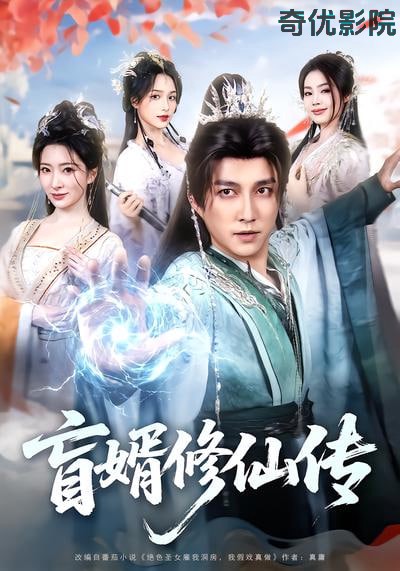 直婿修仙传