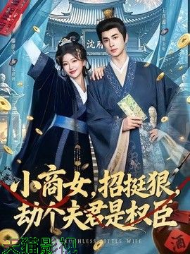 小商女，招挺狠，劫个夫君是权臣