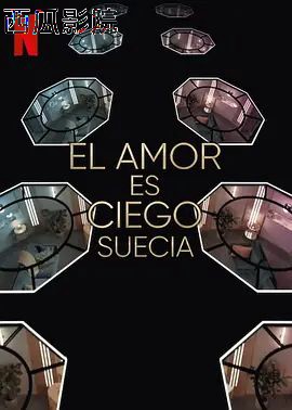 爱情盲选：瑞典篇第三季